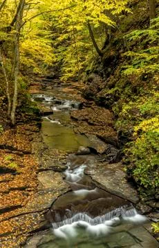 Deep in FIllmore Glen Stock Photos