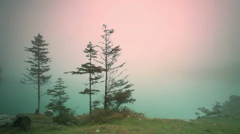 Deep fog on Oechsinensee Stock Footage 29970946