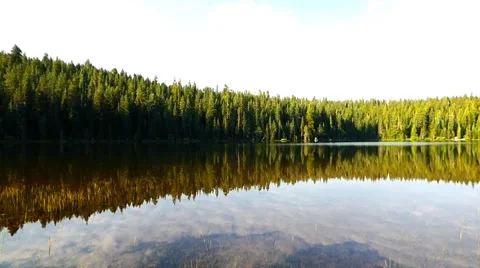 Deep Forest Alpine Lake Video stock 40245463