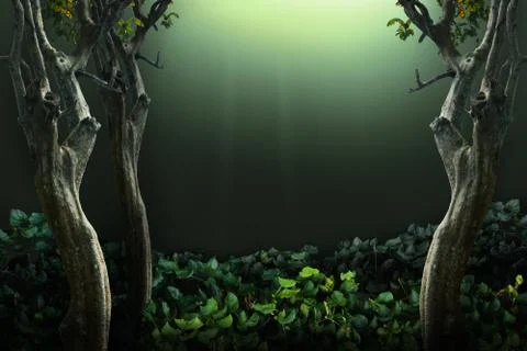 Deep forest background. Isolated and clipping path Stockfoto's