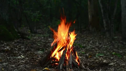Deep Forest Bonfire with Sparks and Crackling Sound Seamless Loop Stockbeeldmateriaal 344951248
