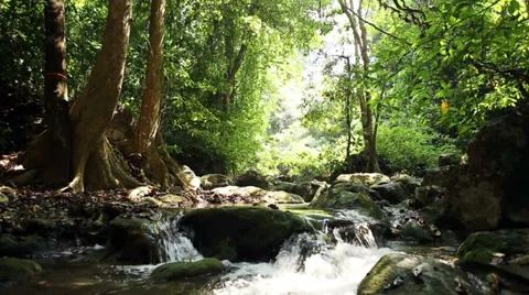 Deep forest Erawan waterfall slide camera effect Stock Footage 38241125