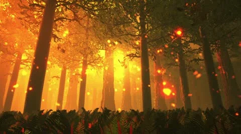 Deep Forest Fairy Tale Scene Fireflies 3D render Stock Footage