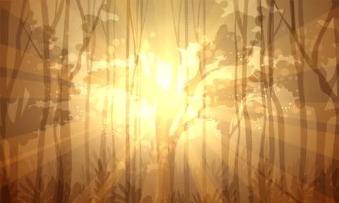 Deep Forest Stock Illustration