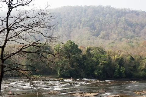 Deep forest  jungle with stream of river water in athirapally kerala Stock Photos