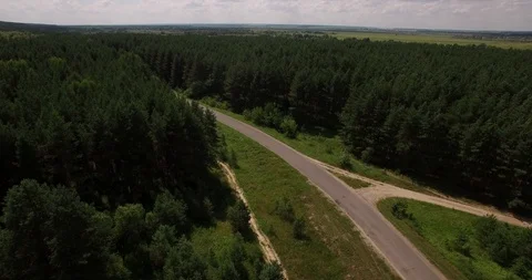 Deep forest landscape aerial view Stock Footage 90797031