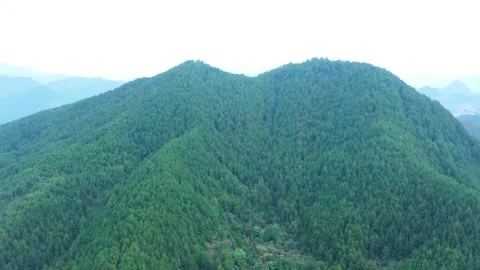 Deep Forest Mountain Landscape in Green Ecological Environment Stock Footage 319654742