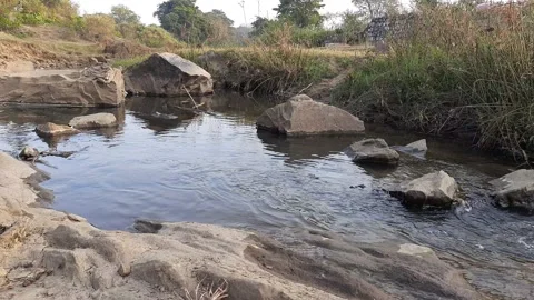 Deep forest river view. Stock Footage 148457432