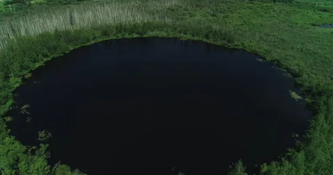 Deep forest round lake with dark water. Small lake of perfectly round shap Stock Footage 156500522