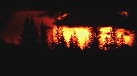 Deep Forest Spectral Sunset Silhouettes 스톡 동영상 7736862