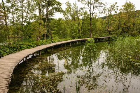 Deep forest stream. crystal clear water. plitvice lakes, croatia Stock Photos