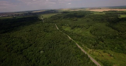 Deep forest in summer aerial view Video stock 107673317