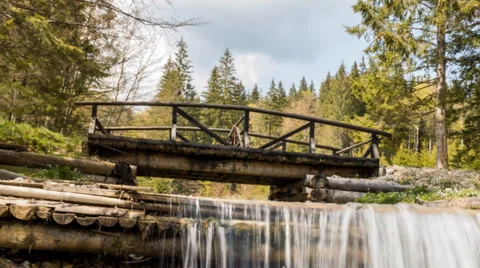 Deep in the forest, time lapse, forest scene - small wood bridge over creek Video stock 37809567