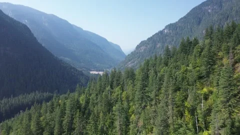 Deep Forest Valley and Mountain Pass Stock Footage 318817801