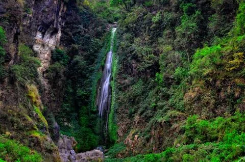 Deep forest waterfall landscape view Stock Photos