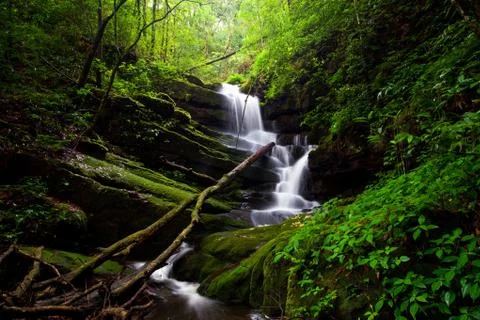 Deep forest waterfall Stock Photos