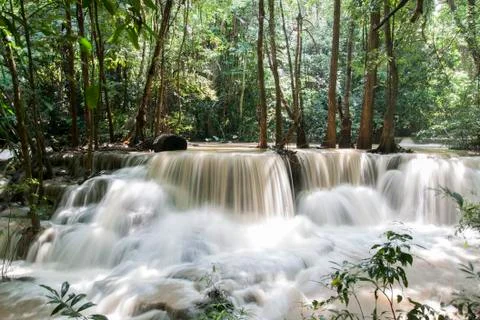 Deep forest waterfall Stock Photos
