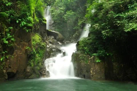 Deep forest waterfall Stock Photos