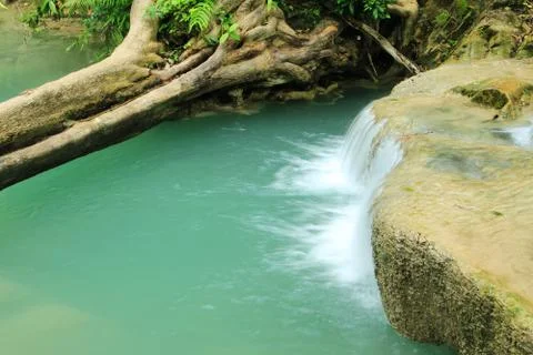 Deep forest waterfall Stock Photos