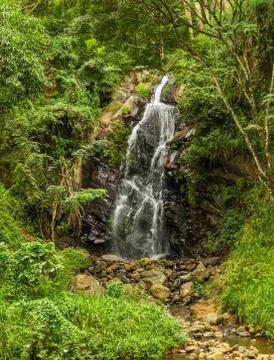 Deep forest waterfall Stock Photos