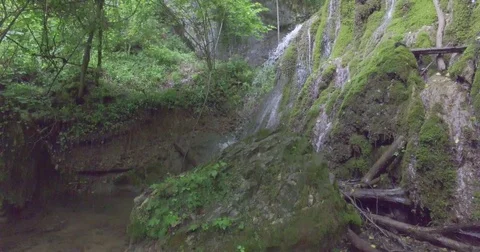 Deep forest waterfall in summer. Stock Footage 75672894