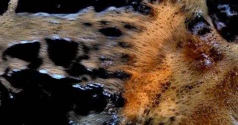 Deep fried in boiling oil and wire basket. Stock Footage 119133455