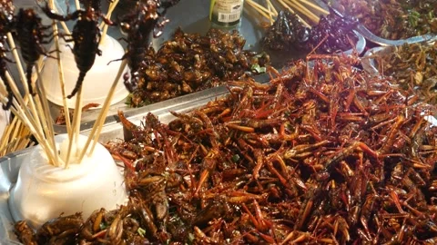 Deep-Fried Edible Insects, alternative protein source Stock Footage 293616153