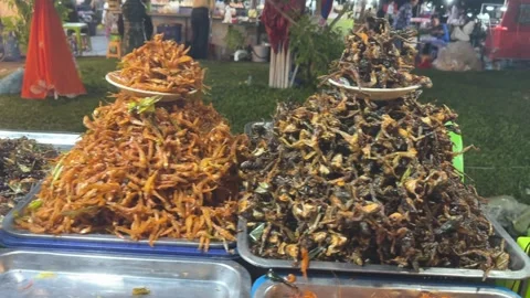 Deep fried insects and bugs Asian street food in Cambodia Stock Footage 336597068