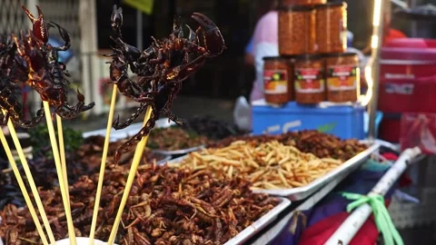 Deep fried insects and scorpions street food vendor. Stock Footage 278024276