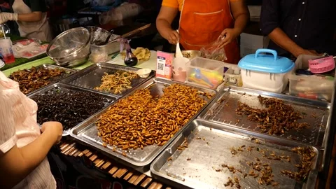 Deep-Fried insects, Street food, Thailand Stock Footage