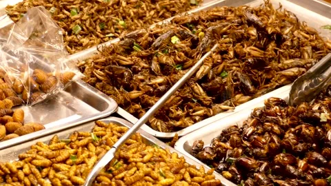 Deep Fried Insects at Thai Street Food Stall Stock Footage 305675852