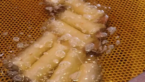 Deep-fried Korean Fish Cakes (Eomuk) Sizzling in Hot Oil at Street Food Market Stock Footage 337373222
