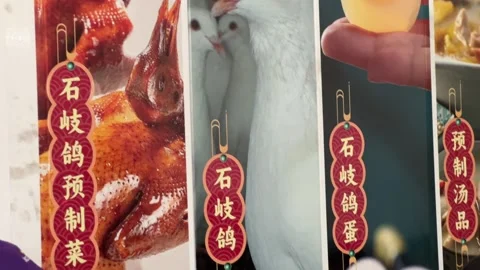 Deep Fried Pigeon (Squab) Display in China Stock Footage 252956135