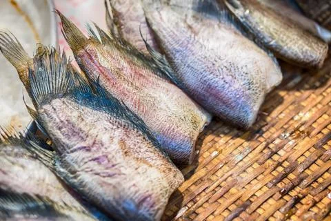Deep fried salted fish Stock Photos