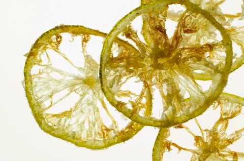 Deep-fried slices of candied lime, backlit Stock Photos
