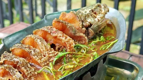 Deep-Fried Snakehead Fish in Spicy Sour Soup Stock Footage 304648352