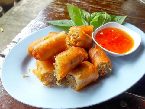 Deep fried spring rolls on plate. Stock Photos