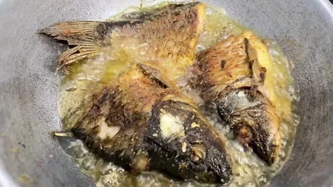 Deep Frying Fresh Fish in Hot Oil Until Golden Brown and Crispy Stock Footage 340777377