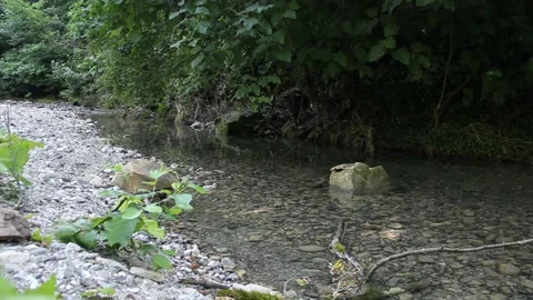 In a deep gorge of a small mountain river. Stock Footage 162625662