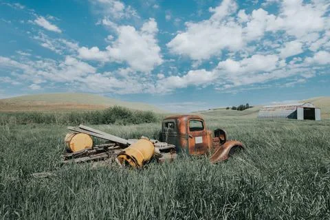 Deep In The Grass 5 Fotos de archivo