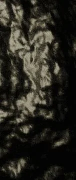 Deep Grayscale Mottled Organic Texture Vertical Background Stock Photos