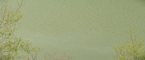 Deep green Danube river waters slow tilt 5.7K anamorphic video Stock Footage 323356179