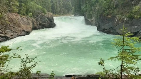 Deep Green Fast Water Falls Stock Footage 221019483