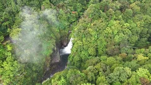Deep Green Forest Gorge Top Down | Japan - 4K Aerial Video Stock Footage 329052415