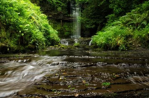 Deep green forest with small waterfall. Earth day, International Waterfall .. Stock Photos