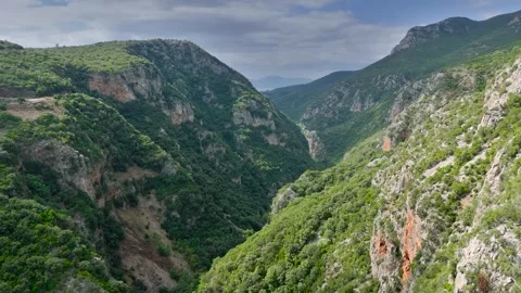 Deep Green Mountain Gorge with Rocky Cliffs in Greece Stock Footage 336565198