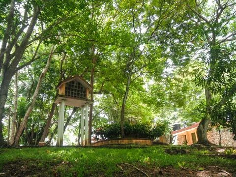 Deep green perspective Stock Photos