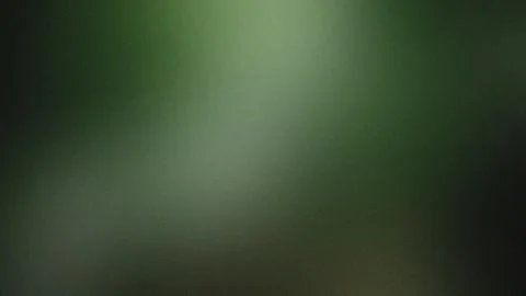 Deep Green Textured Gradient with Subtle Light Effect background abstract Stock Illustration