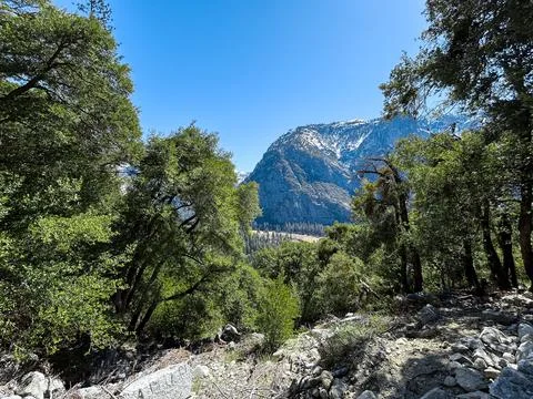 Deep Green Valleys Stock Photos