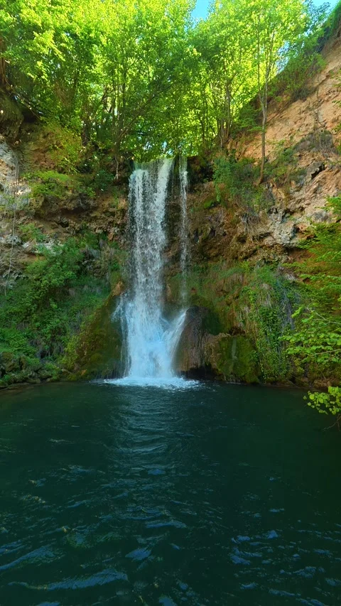 Deep green water reflects lush trees above. Veliki Buk, Serbia. Vertical Stock Footage 336890829